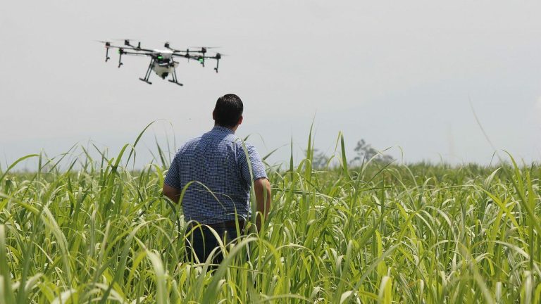 Diálogo “Juventud Rural y Digitalización: Transformando los Sistemas Agroalimentarios” FAO Chile, septiembre 2024