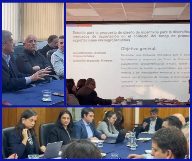 MUCECH fortalece su rol incidente en instancia clave de política pública para el sector silvoagropecuario.