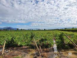 Comenzó la entrega de ayuda a agricultores afectados por las lluvias del verano