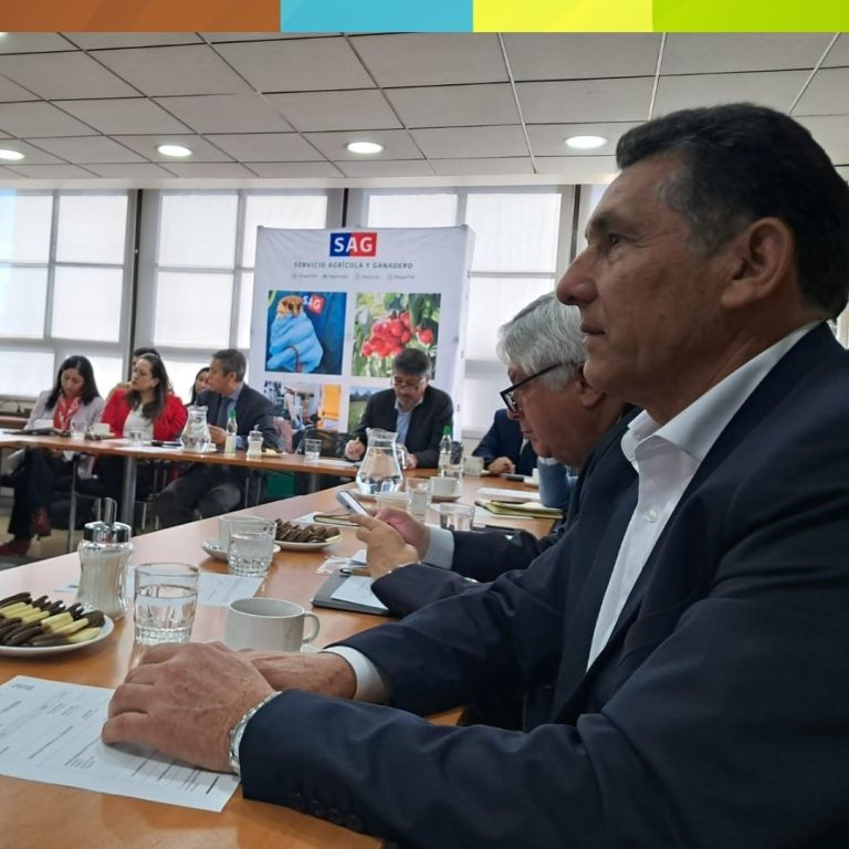 Vinculación Política Incidente Efectiva de MUCECH, en Sesión del COSOC SAG.
